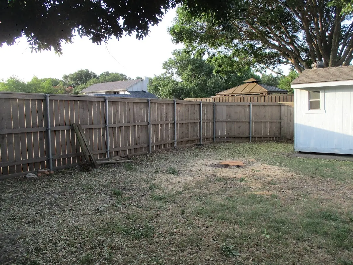 Cleared yard after professional tree removal in South English